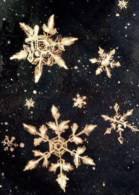 Snowflakes in the Sky
